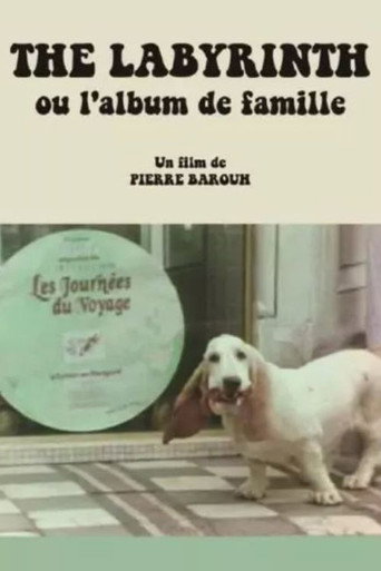 Movie poster for The Labyrinth ou L'album de famille (1976)