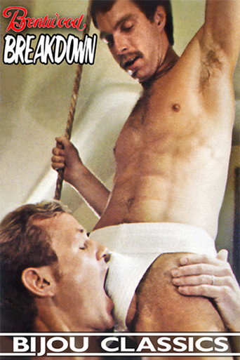 Movie poster for Breakdown (1981)