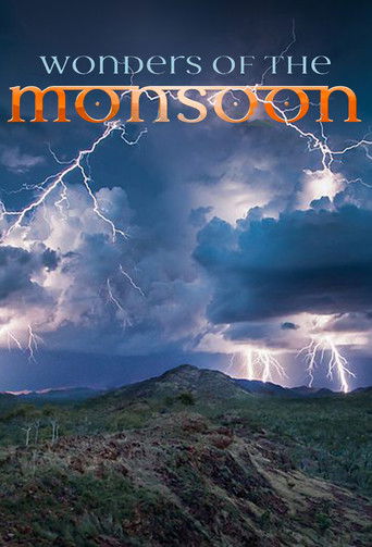Wonders of the Monsoon poster