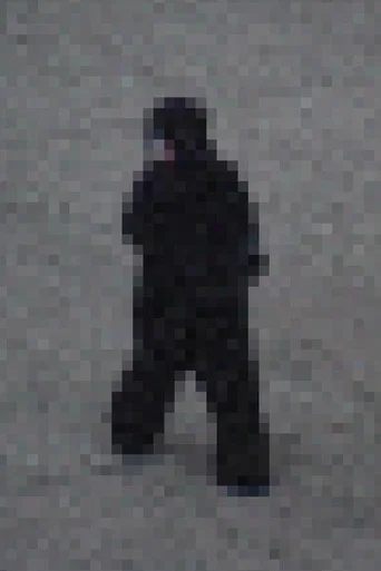 Movie poster for Gorilla Gorilla