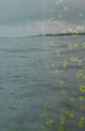 Movie poster for Film for Invisible Ink case no. 71: BASE-PLUS-FOG (2006)