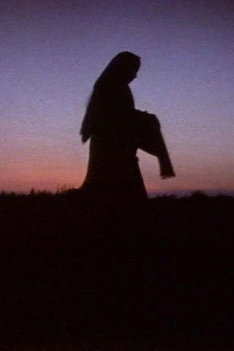 Women in the Shadows poster