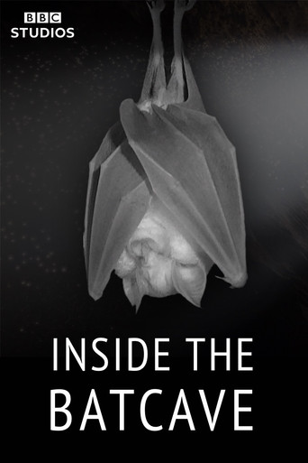 Series poster for Inside the Bat Cave (2020)