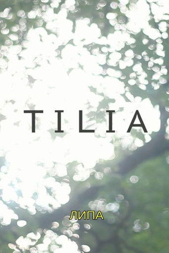 Tilia poster