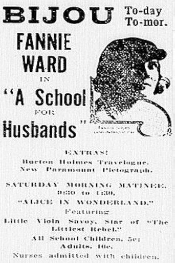 Movie poster for A School for Husbands (1917)