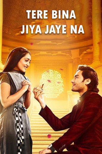 Tere Bina Jiya Jaye Naa poster