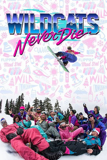 Movie poster for Wildcats Never Die (2016)