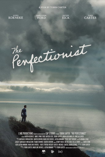 Movie poster for The Perfectionist (2025)