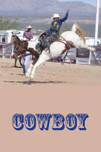 Movie poster for Cowboy (1966)