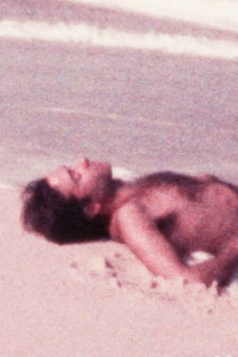Movie poster for Rafael in Rio (1977)