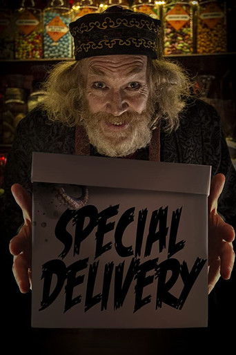 Special Delivery poster