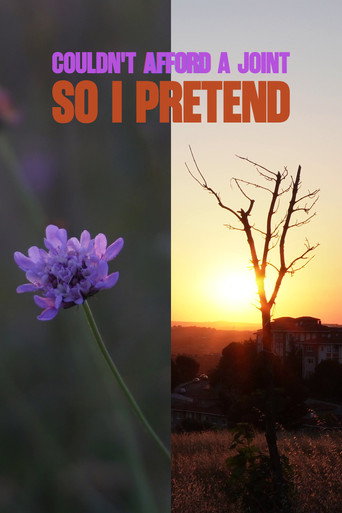 Movie poster for COULDN'T AFFORD A JOINT SO I PRETEND (2026)
