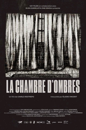 Movie poster for Room of Shadows (2024)