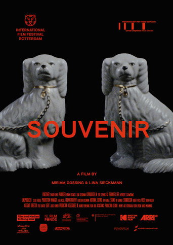 Movie poster for Souvenir (2019)