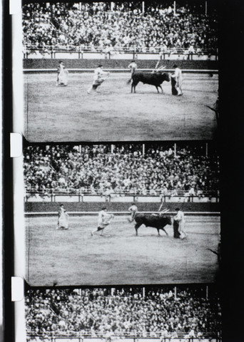 Movie poster for Corrida (1929)