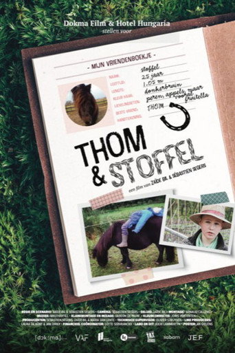 Movie poster for Thom & Stoffel (2021)