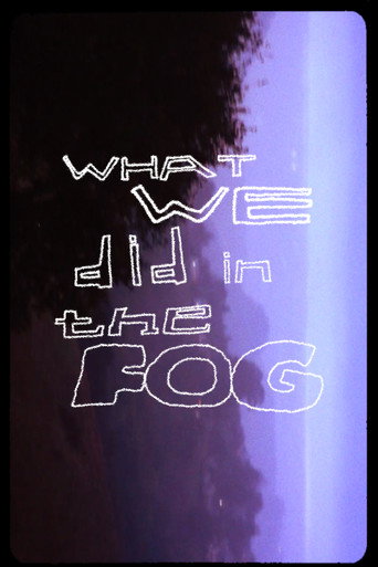 Movie poster for what we did in the fog (2024)