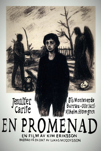 Time of Flowers poster