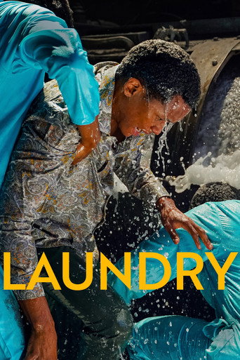 Movie poster for Laundry (2026)