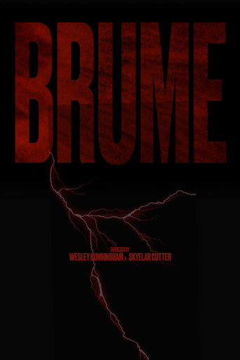 Movie poster for BRUME