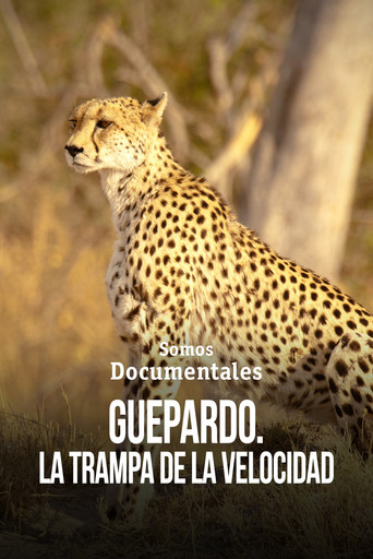 Movie poster for Cheetah – Speed Trap