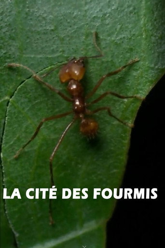 Movie poster for La cité des fourmis (1999)