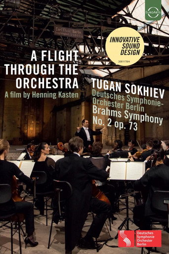 Movie poster for A Flight Through the Orchestra (2015)