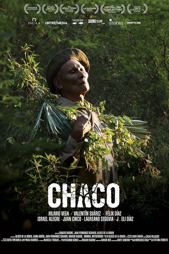 Chaco poster