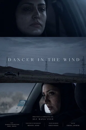 Movie poster for Dancer In The Wind (2014)
