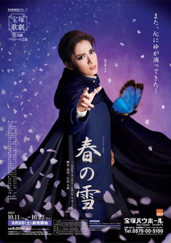 Movie poster for Spring Snow (2012)