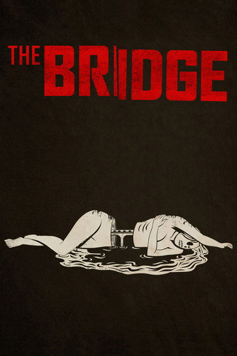 Series poster for The Bridge (2013)