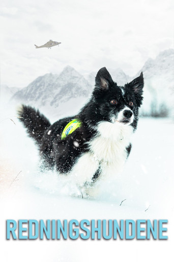 Redningshundene poster