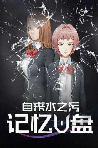 Memory Flash Drive poster