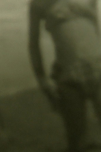 Movie poster for Apparitions (2013)