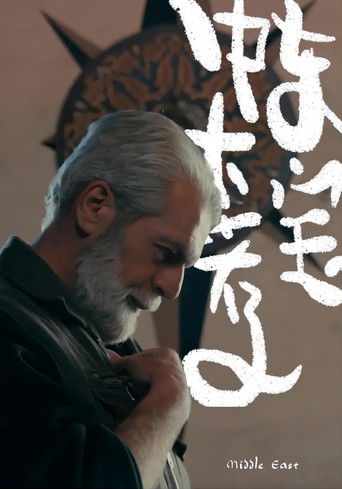 中东大宝荐 poster