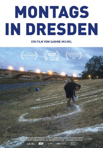 Movie poster for Merkel Must Go (2017)