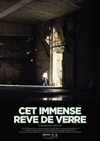 Movie poster for Cet immense rêve de verre (2022)