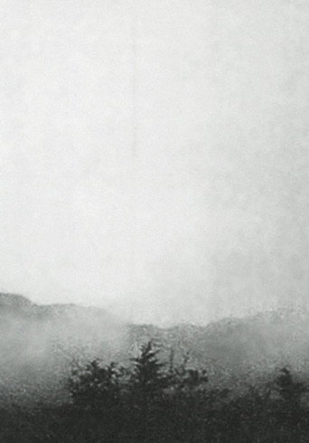 Movie poster for Mist (1972)