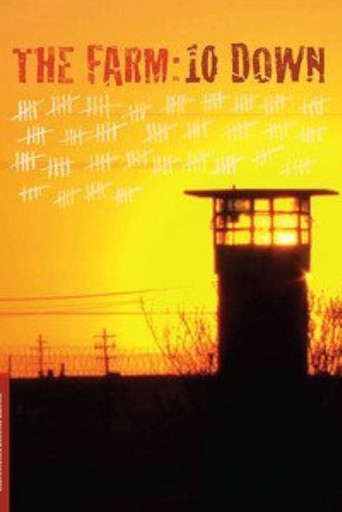 Movie poster for The Farm: 10 Down (2009)