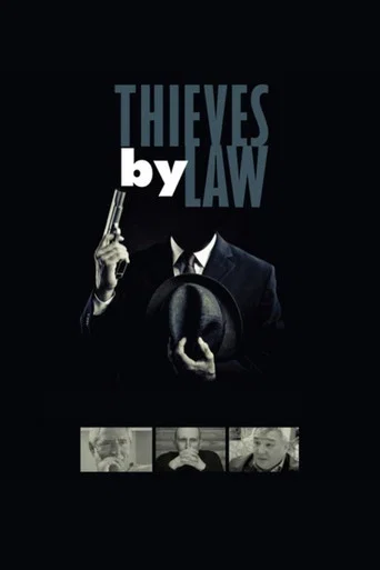 Movie poster for Thieves by Law (2010)