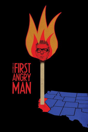 Movie poster for The First Angry Man (2019)