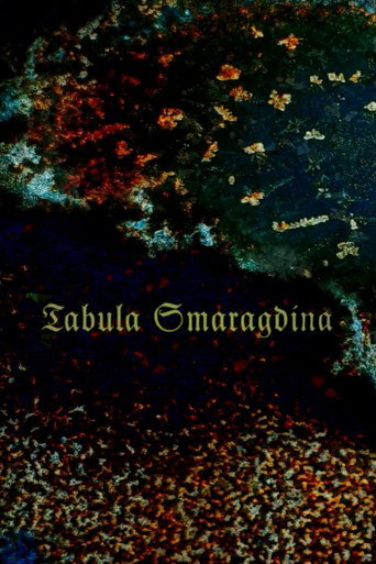 Movie poster for Tabula Smaragdina (2010)