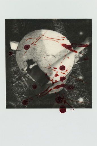 The Way Blood Flows poster