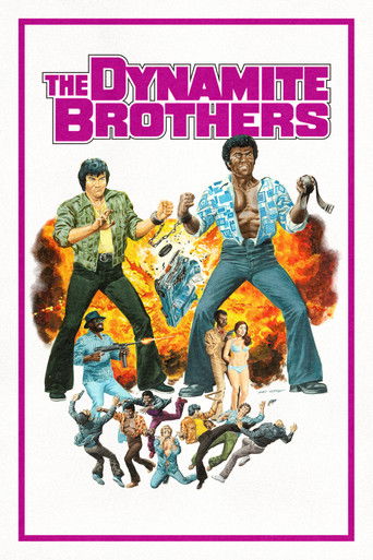 The Dynamite Brothers poster