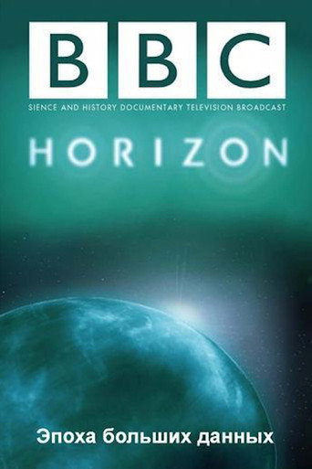 Movie poster for The Age of Big Data (2013)