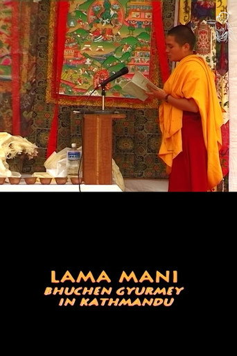 Movie poster for Lama Mani (2003)
