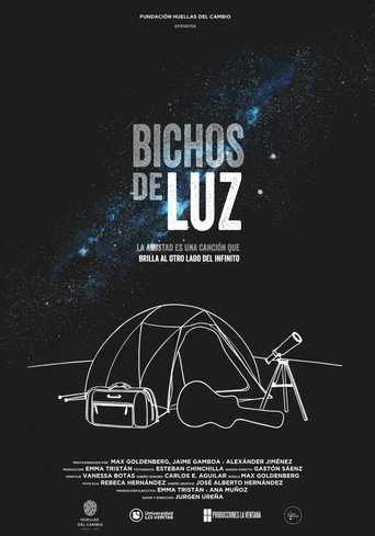 Movie poster for Bugs of Light
