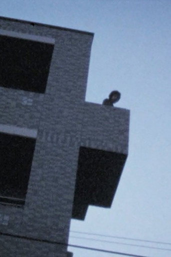 The Far East Apartment poster