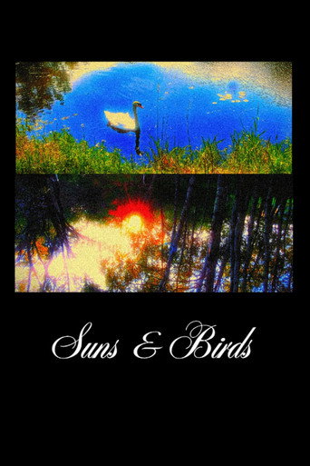Movie poster for Suns & Birds (2025)