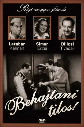 Movie poster for No Entry (1941)